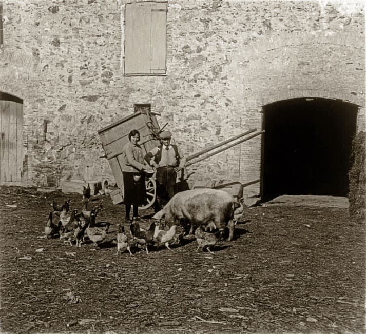Mas Feliu c.1930